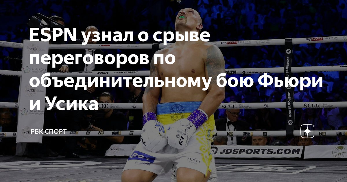 День боксера