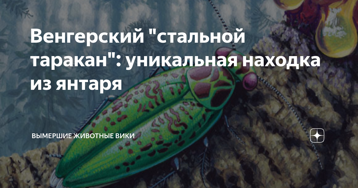 Венгерский "стальной таракан": уникальная находка из янтаря | Вымершие ...