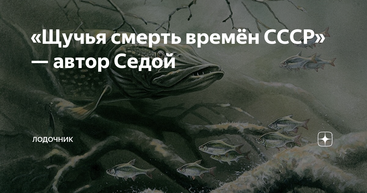 «Щучья смерть времён СССР» — автор Седой | Лодочник | Дзен
