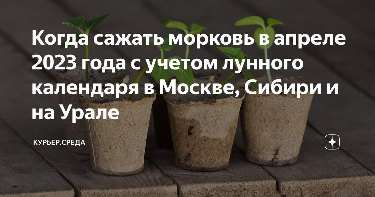 Когда садить морковь на урале в 2024. Дни посадки моркови в апреле. Посадить морковь по лунному календарю в Сибири. Благоприятные дни для посадки в апреле. Посадка моркови в мае 2024 по лунному календарю.