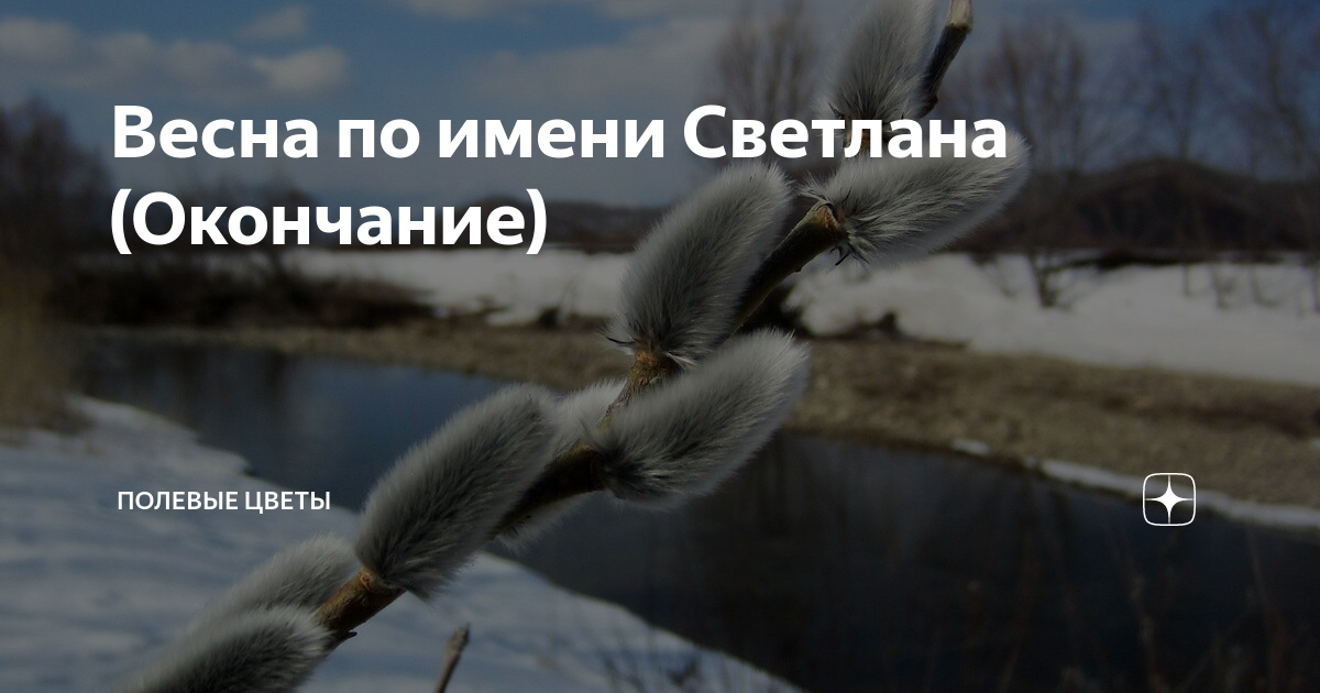 Весна по имени Светлана (Окончание) | Полевые цветы | Дзен