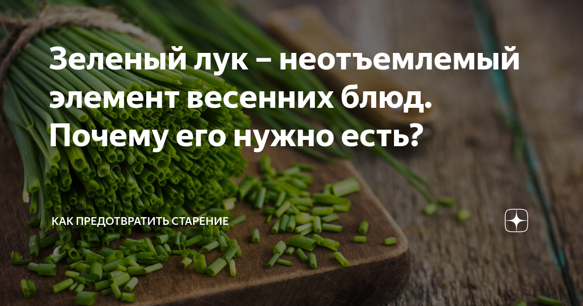 Лук "горькое здоровье" - презентация к уроку Окружающий мир - скачать презентаци