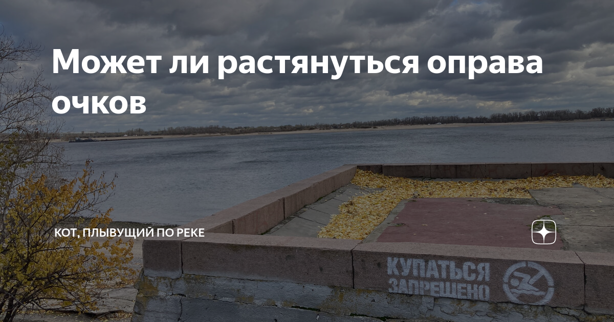 Может ли растянуться оправа очков | Кот, плывущий по реке | Дзен