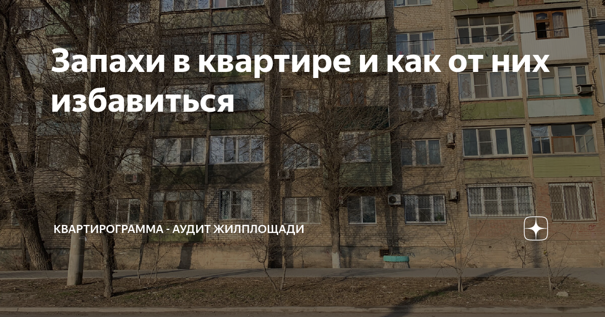 Запахи в квартире и как от них избавиться | Квартирограмма - аудит ...