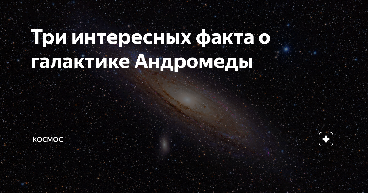 три интересных факта о 1.000 лесники