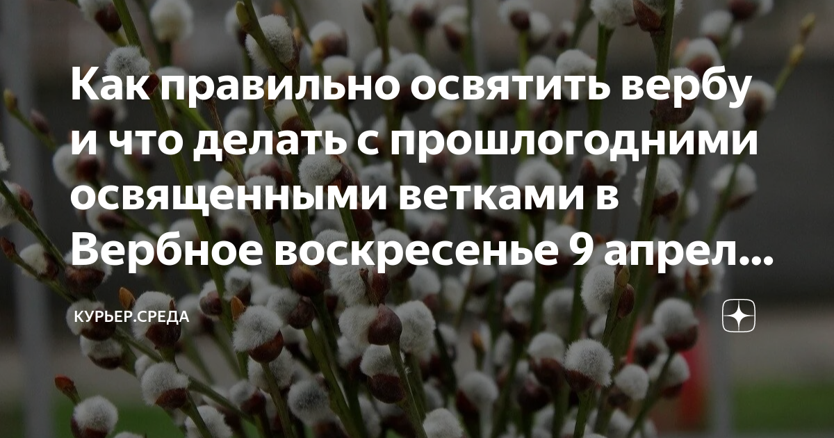 Куда девать старую вербу после вербного воскресенья