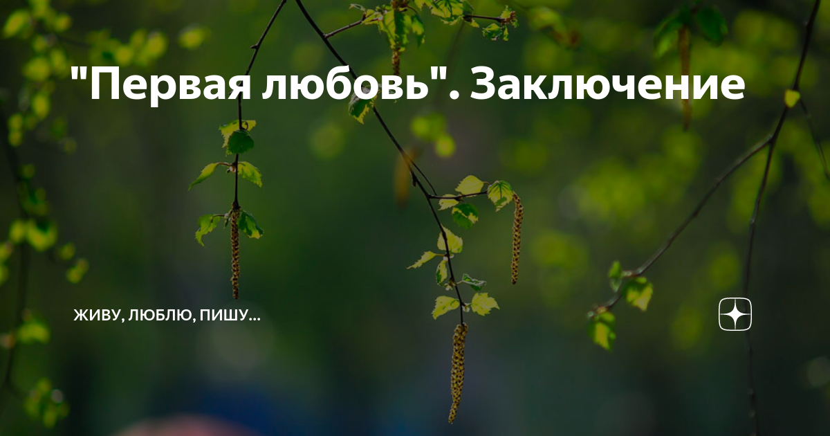 все начинается с любви эссе