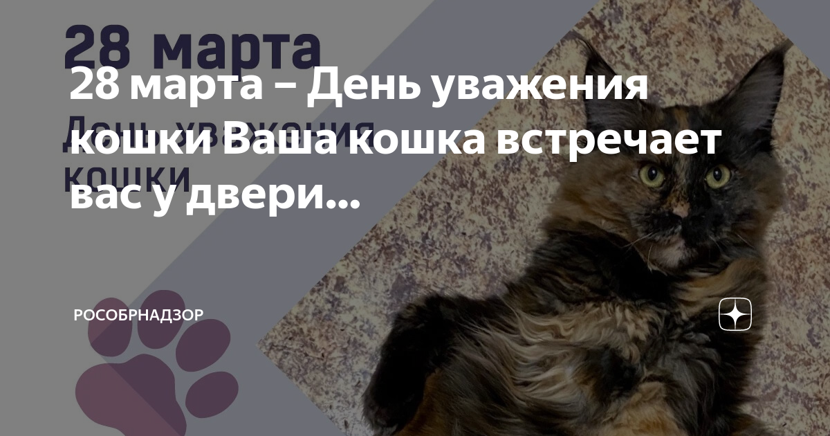 день уважения кошки открытки. день уважения кошки. день уважения кошки. прислушиваются к котам. если вы трудоголик заведите кота.
