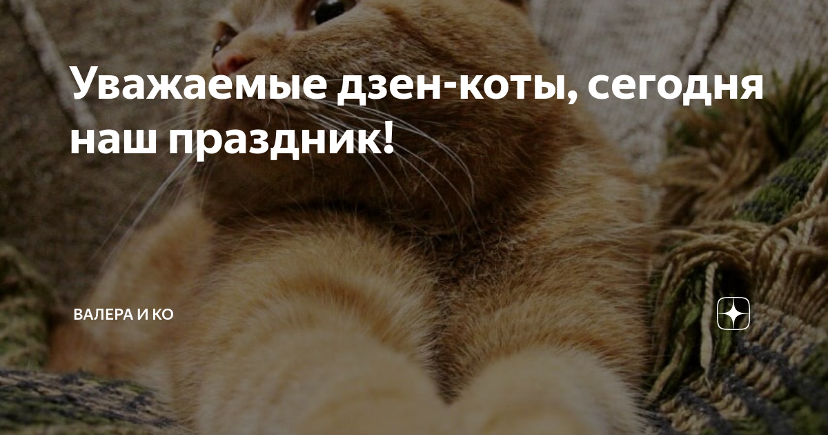 День уважения котов. День уважения кошки. Сегодня день уважения кошки. Котики сегодня праздник наш мяу библиотека.