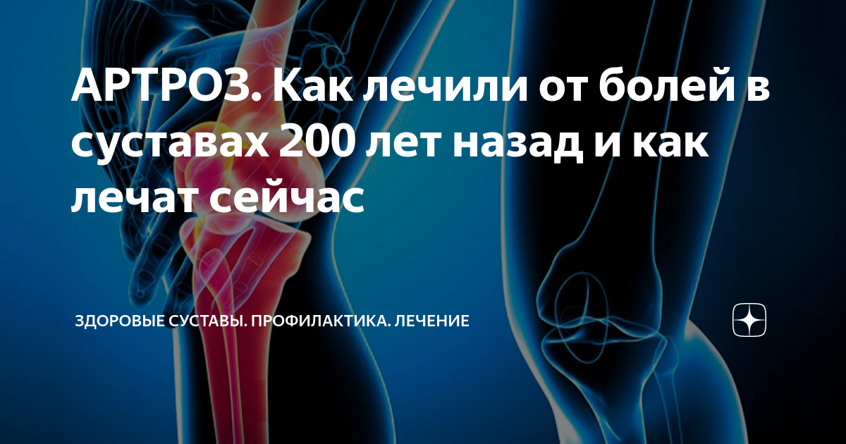 Главный рассадник болезней — публичные дома. Какие эпидемии спровоцировала элита