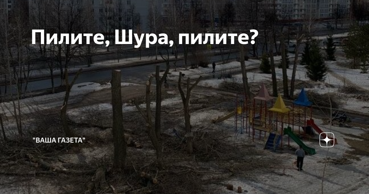 Пилите, Шура, пилите? | "Ваша газета" | Дзен