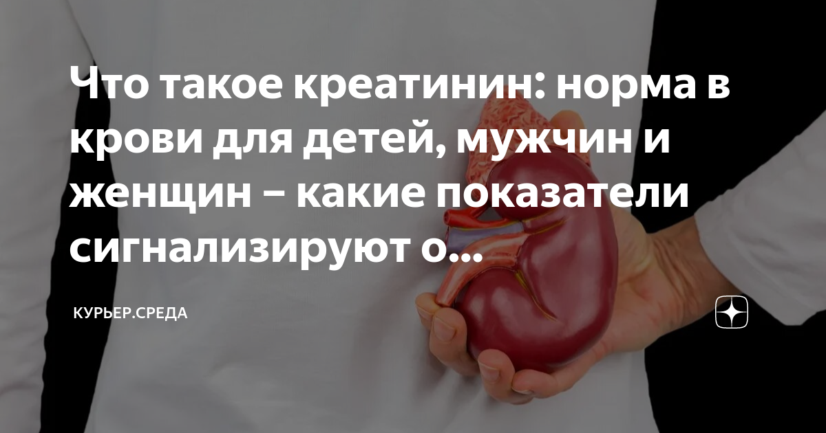 Диета при креатинине в крови у мужчин. Высокий уровень в почках. Норма креатинина с одной почкой у мужчин. Что делать при высоком креатинине в крови у мужчин.