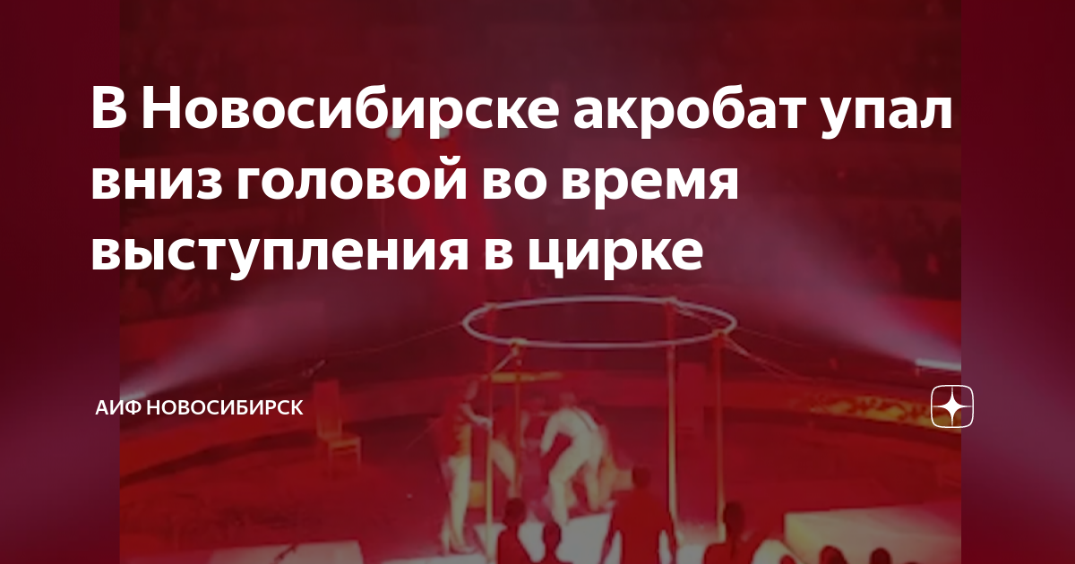 Реклама цирк филатовых. Цирковые номера. Акробаты в цирке. В новосибирском цирке упала. Заслуженные акробаты в цирке.