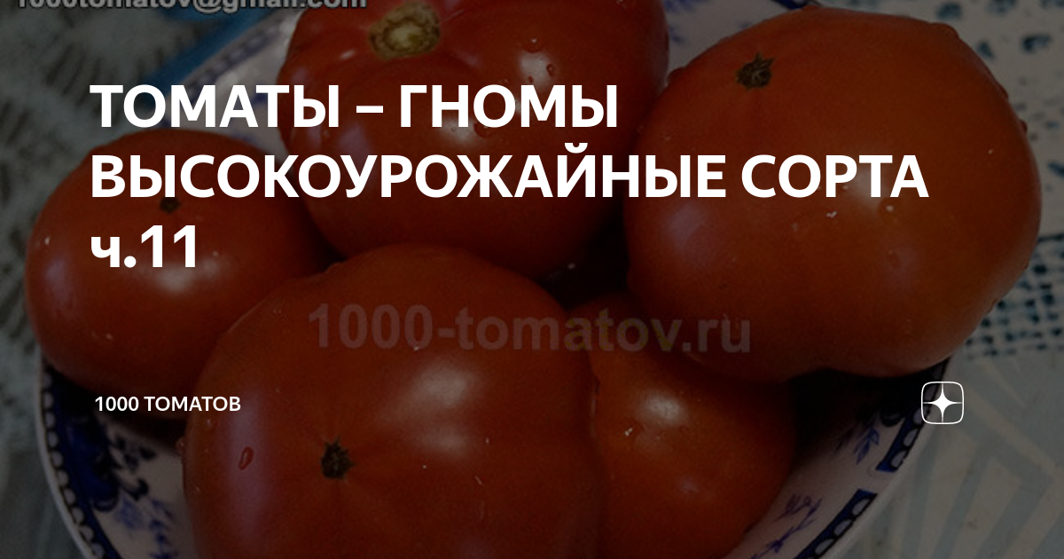 ТОМАТЫ – ГНОМЫ ВЫСОКОУРОЖАЙНЫЕ СОРТА ч.11 | 1000 томатов | Дзен