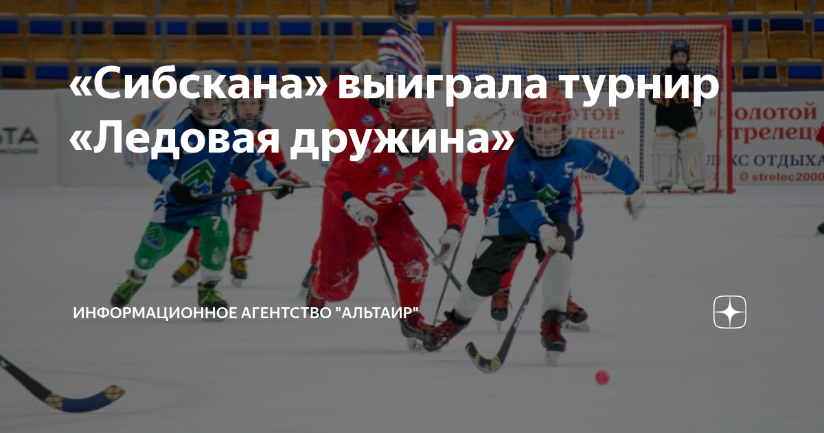Турниры по хоккею 2015 года рождения. Хоккей с мячом. Хоккеист с мячом. Важные хоккейные турниры. Енисей хоккей с мячом.