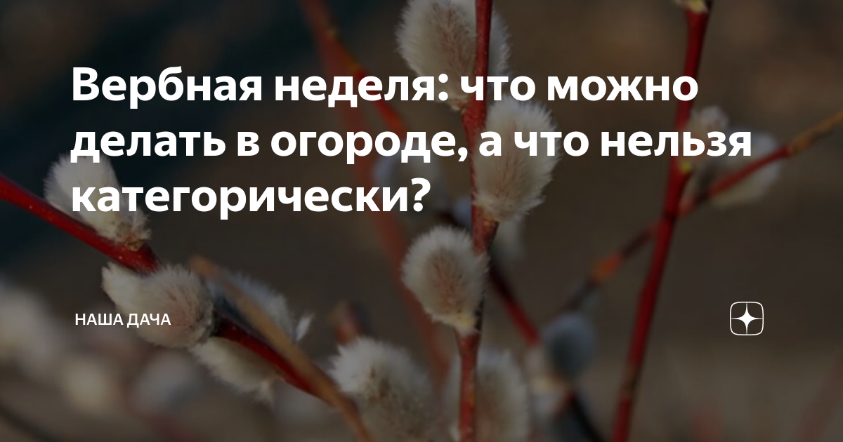 Что нельзя делать в вербное воскресенье 2024. Верба на Вербное воскресенье. Вербное воскресенье традиции. Со светлым Вербным воскресеньем. Пальмовая веточка на Вербное воскресенье.