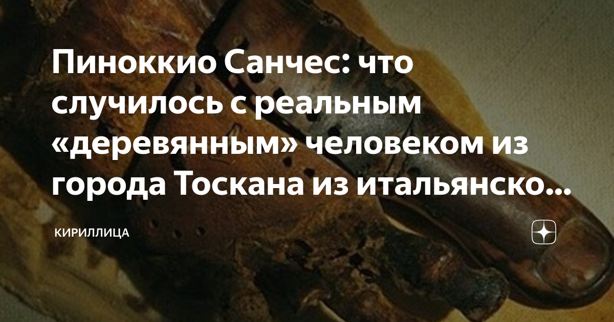 Пиноккио санчес