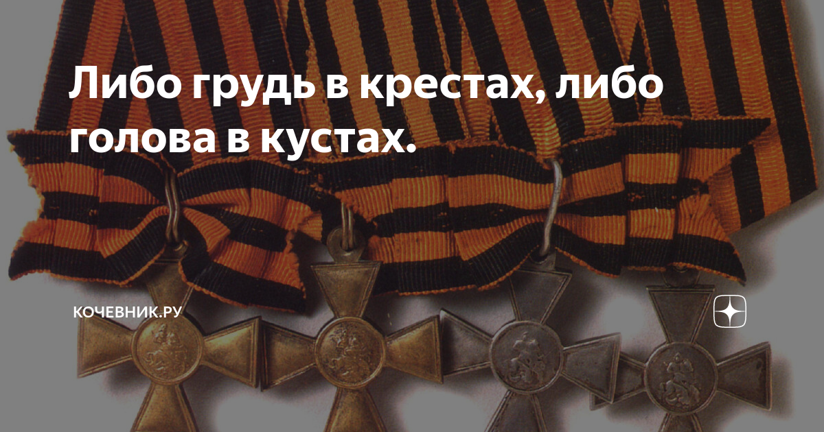 или грудь в крестах или голова в кустах. в крестах голова в кустах. или грудь в крестах или голова в кустах. георгиевская лента на ордене на планке. либо грудь в крестах либо голова в кустах.