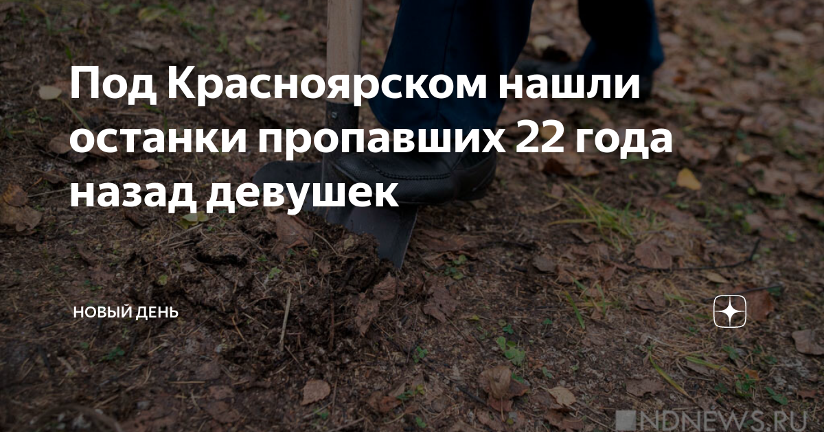 нашли останки пропавшей. тела найденные в лесах. место обнаружения останков игоря гаврилова костомукша. останки в денндро парке. нашли останки пропавшей.