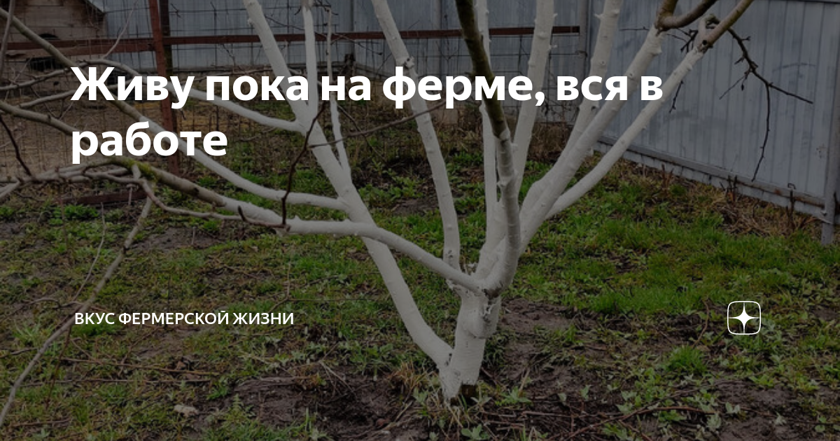 я живу на ферме перевод на английский
