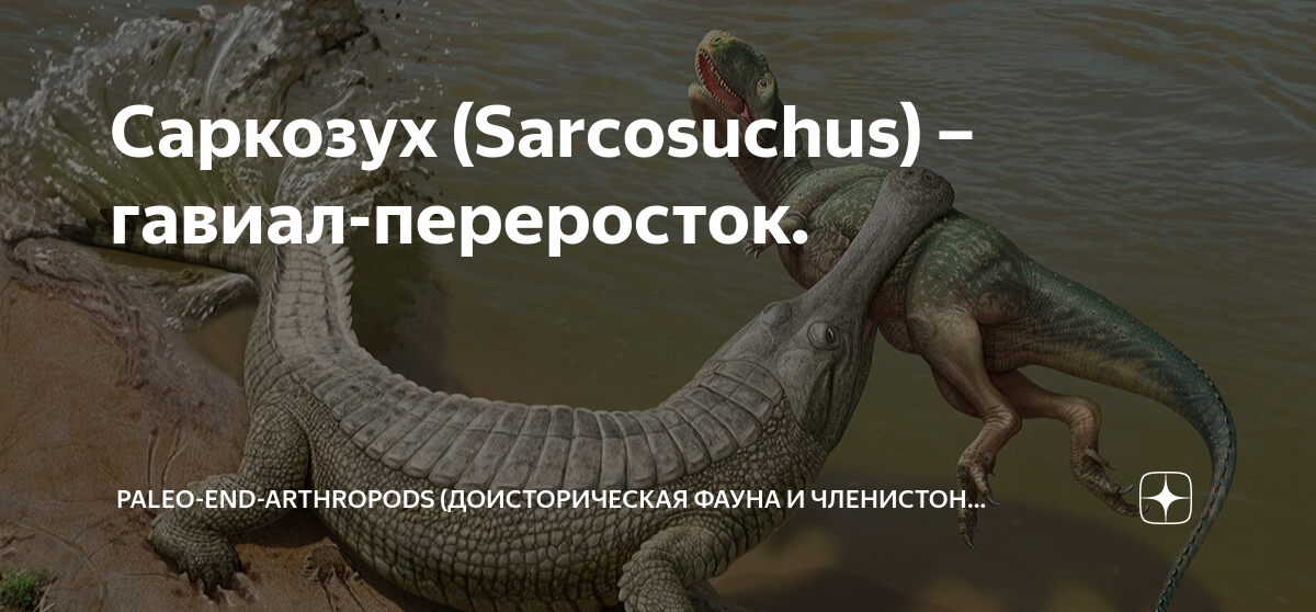 Саркозух (Sarcosuchus) – гавиал-переросток. | Paleo-end-arthropods ...