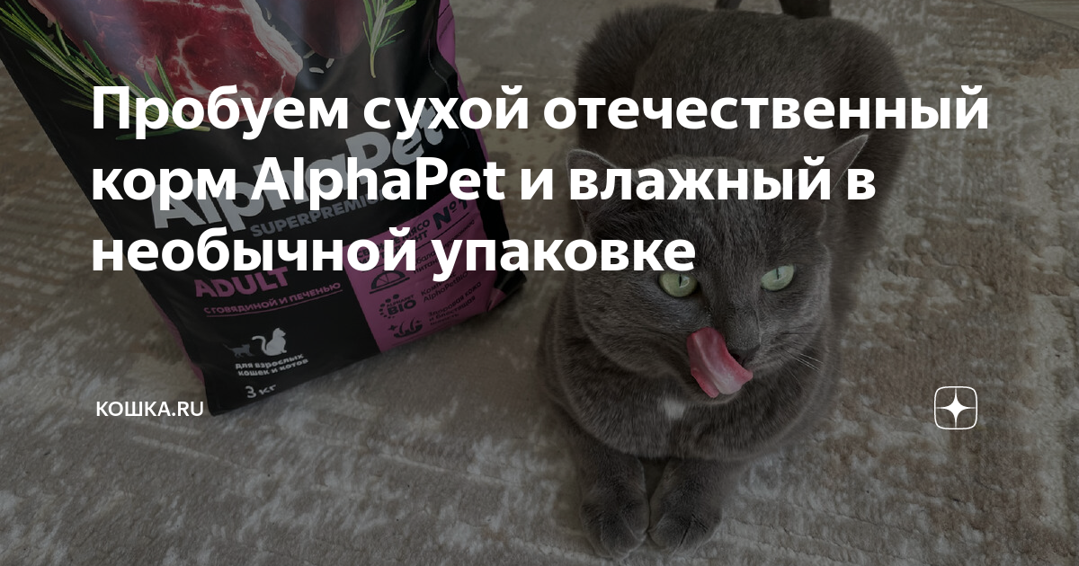 Пробуем сухой отечественный корм AlphaPet и влажный в необычной ...