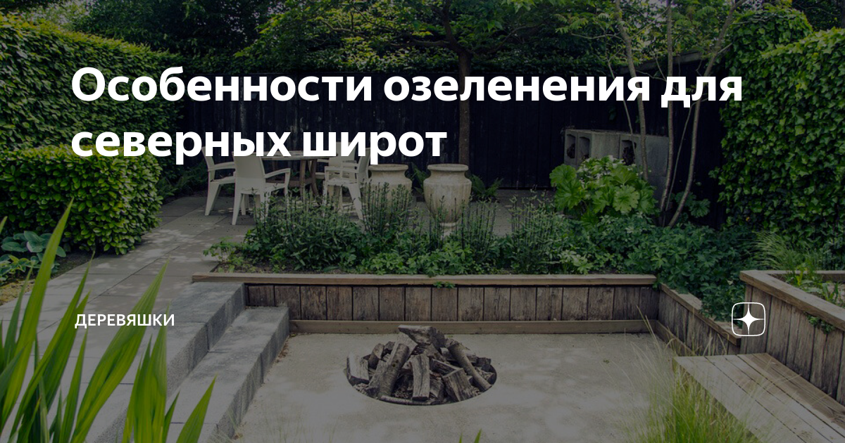 Особенности озеленения для северных широт | Деревяшки | Дзен