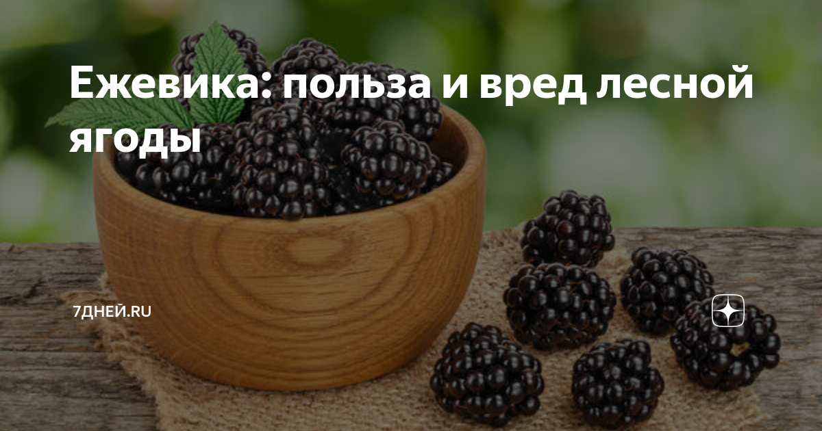 Польза ежевики для организма человека. Ежевика польза. Ежевика польза для здоровья. Ежевика польза и вред для здоровья человека. Чем полезна ежевика зрению.