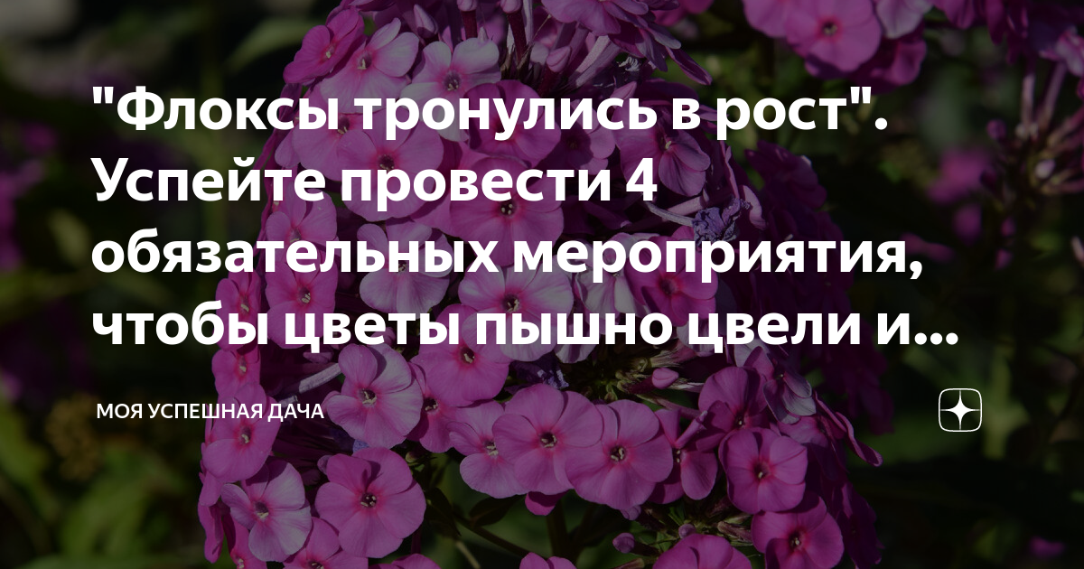 Когда мы тронулись в путь я обратил внимание на одно обстоятельство вслед за моей тележкой