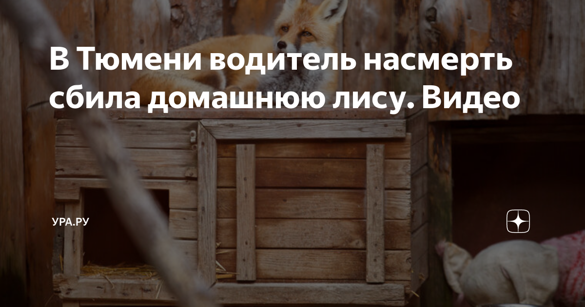 На месте дтп застрелил в хмао мужчина застрелил виновника