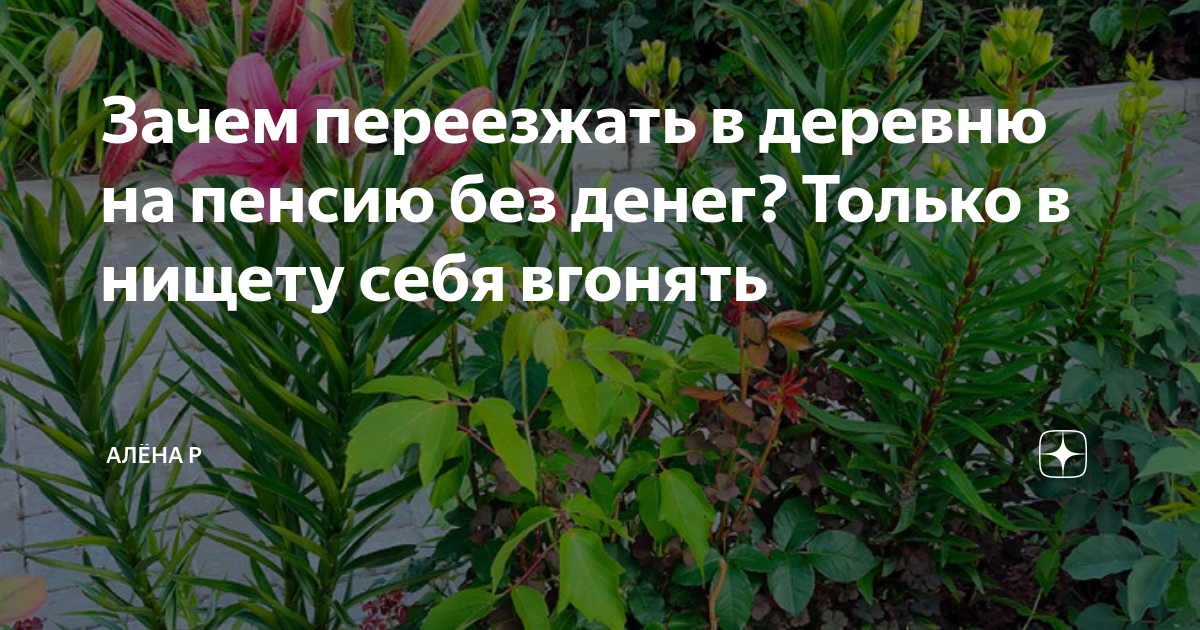 Зачем переезжать в деревню на пенсию без денег? Только в нищету себя ...