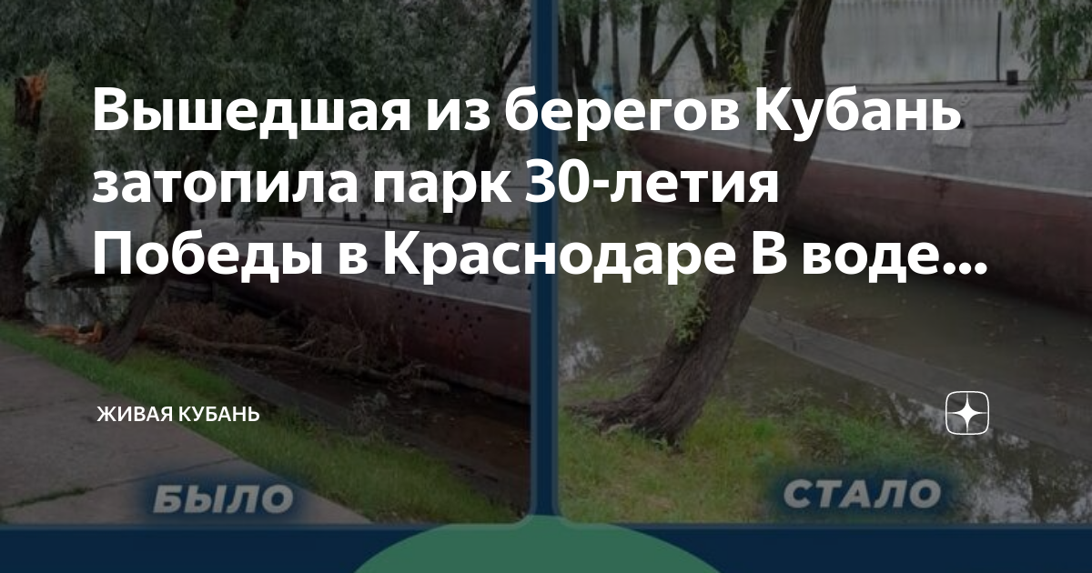 дзен кубанская