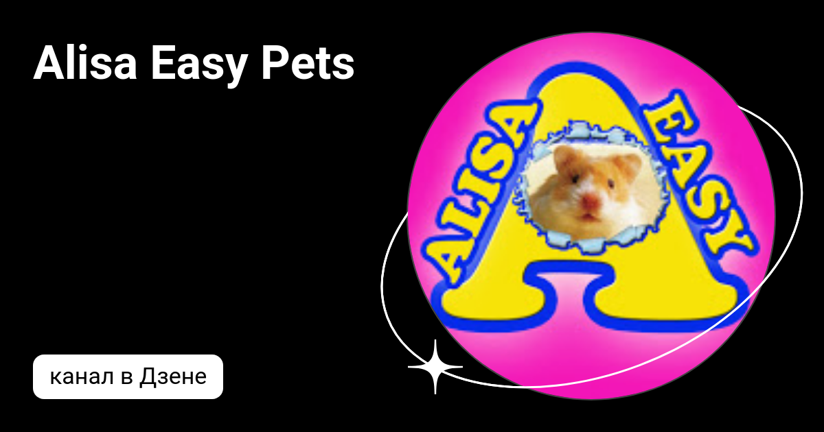 Easy pets. Alisa easy Pets. Хомячки с канала Wiki лаки. Хомячки с канала Wiki лаки как их зовут.