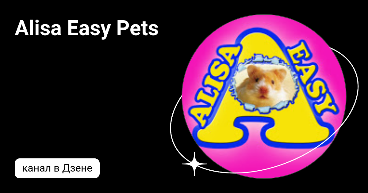 Alisa easy Pets. Хомячки с канала Wiki лаки. Хомячки с канала Wiki лаки как их зовут.