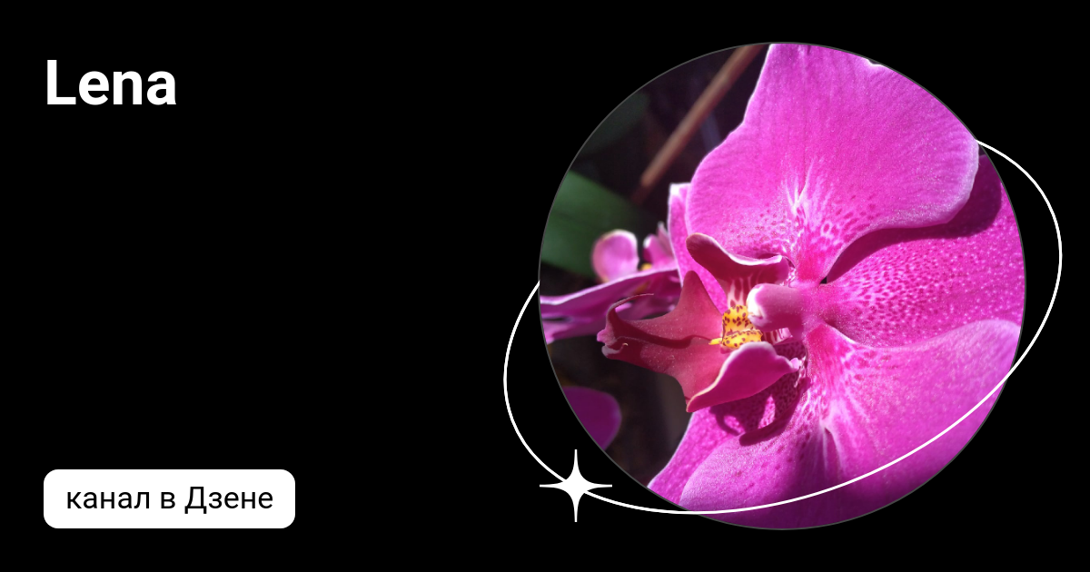 Я и вода-«мой любимый. Эх лена дзен. Эх лена дзен. Эх лена дзен. Эх лена дзен.