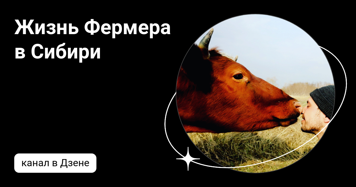 Живем в сибири дзен. Живем в сибири дзен. Тигр рыбачит. Жизнь после беар крик бункер. Бурятия охота живность.