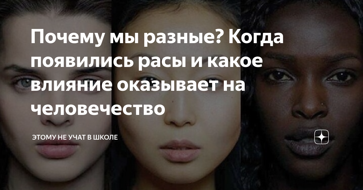Почему мы разные? Когда появились расы и какое влияние оказывает на ...