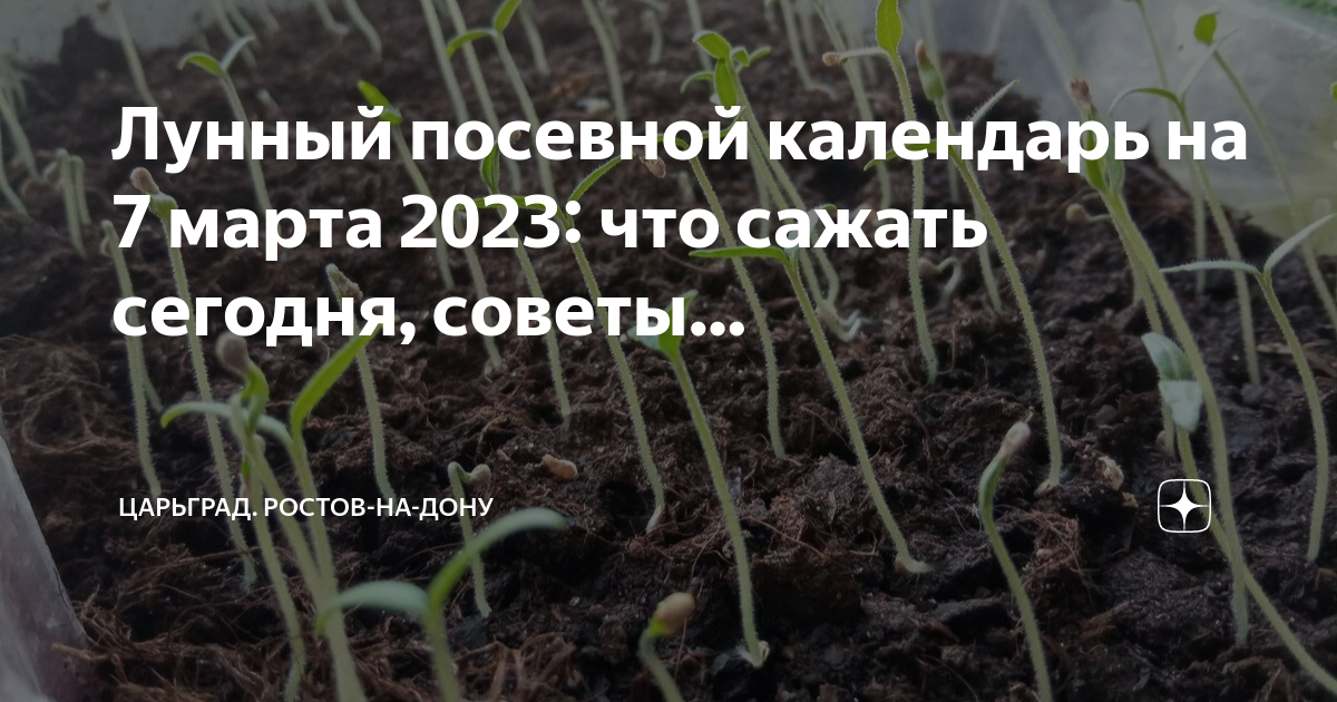 Сеем по лунному календарю 2023