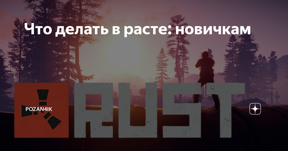 13 проблем Геннадьича — решаем проблемы запуска Rust