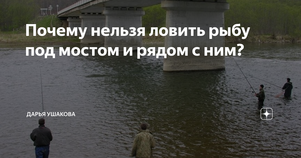 На что ловить нельзя Внимание Нерест! Последние новости