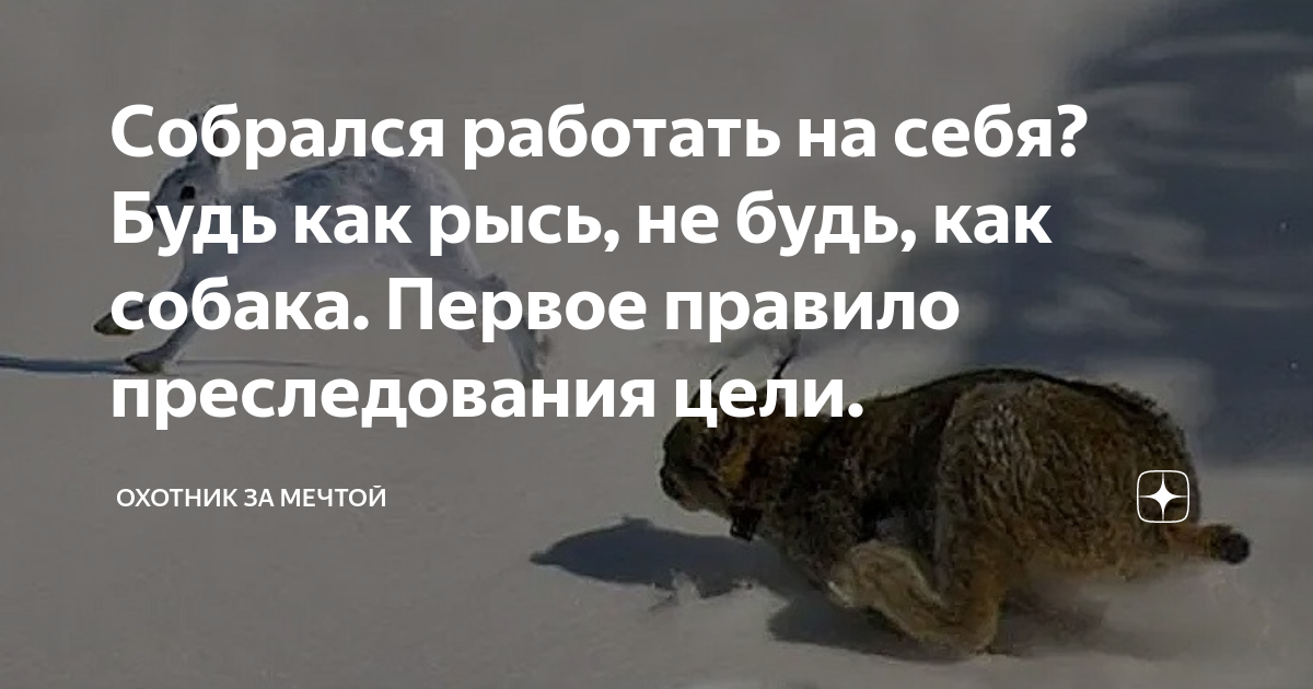 Собрался работать на себя? Будь как рысь, не будь, как собака. Первое ...