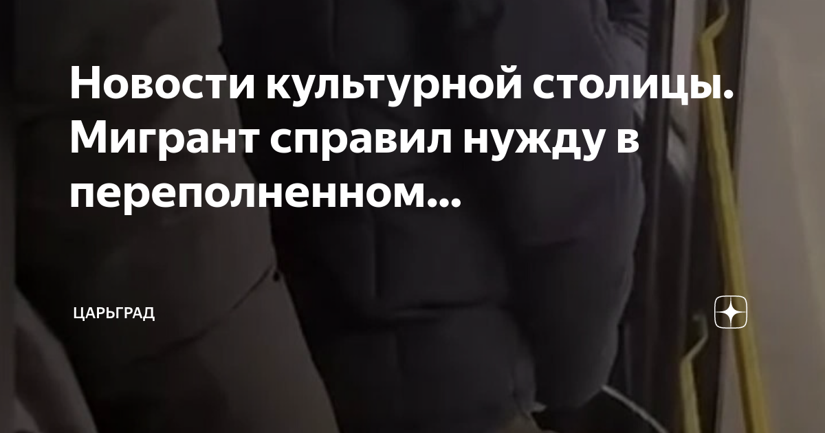 Новости культурной столицы. Мигрант справил нужду в переполненном ...