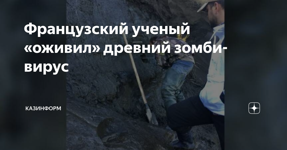 Ученые нашли во льдах сибири зомби вирус