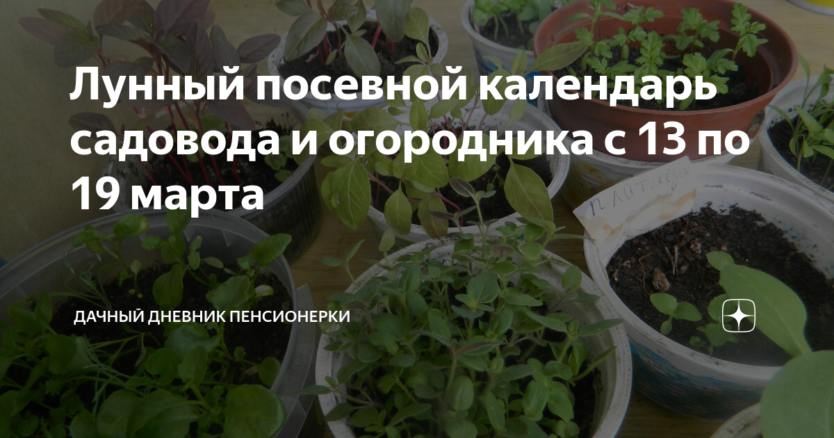 Лунный посевной календарь садовода и огородника с 13 по 19 марта ...