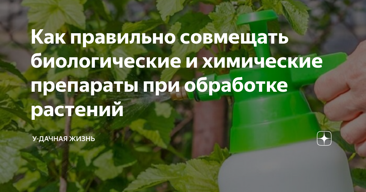 Как правильно совмещать биологические и химические препараты при ...