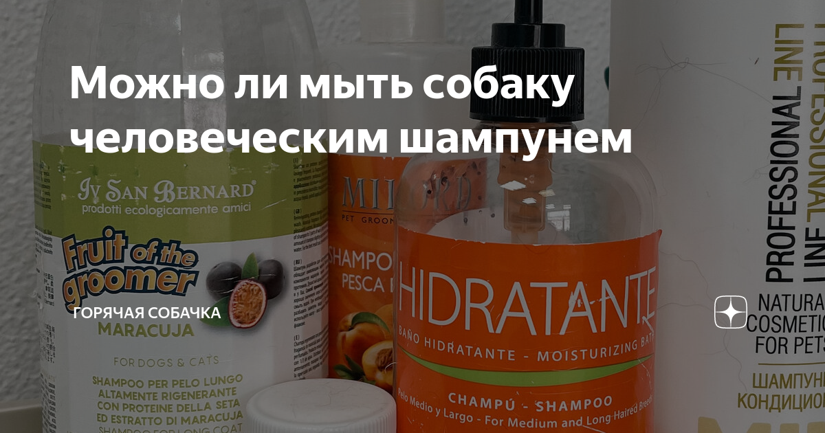 Можно ли мыть собаку человеческим шампунем | Начинаем с "нуля". Лея и я ...
