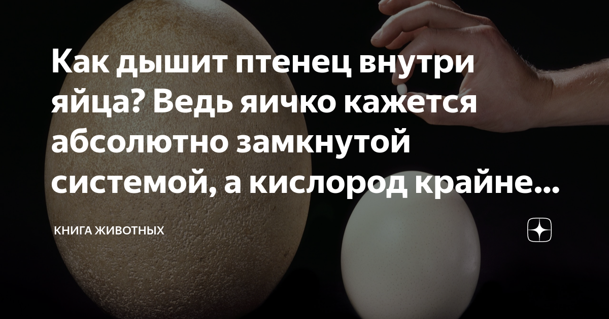 как взбить яйца венчиком до пены