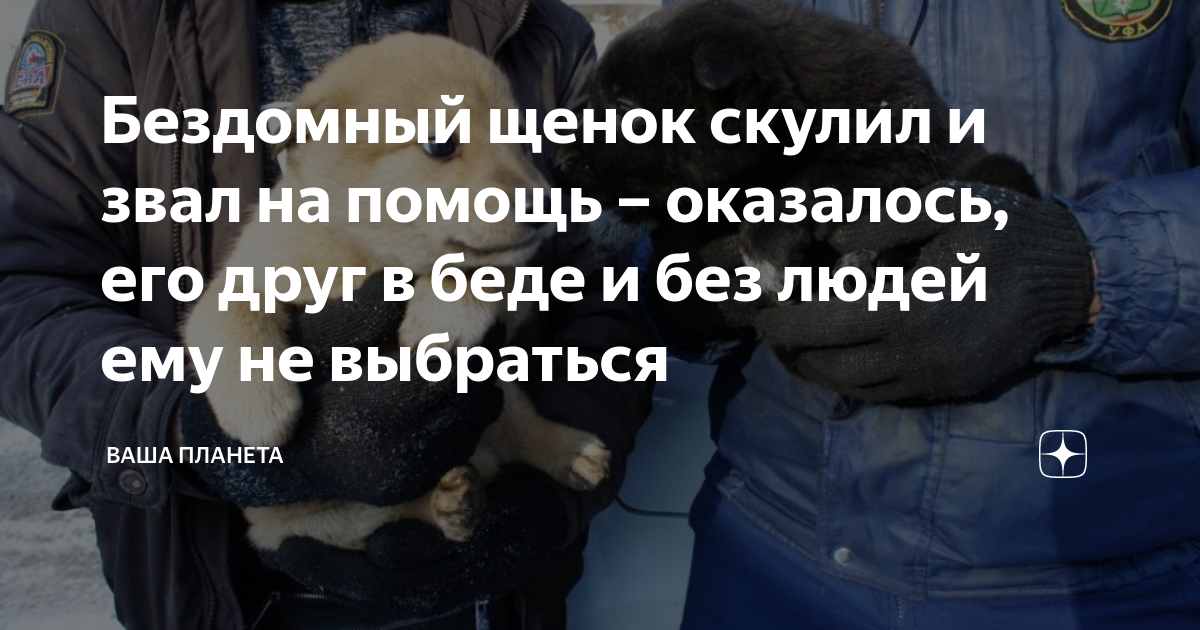 бездомный мальчик спас золушку