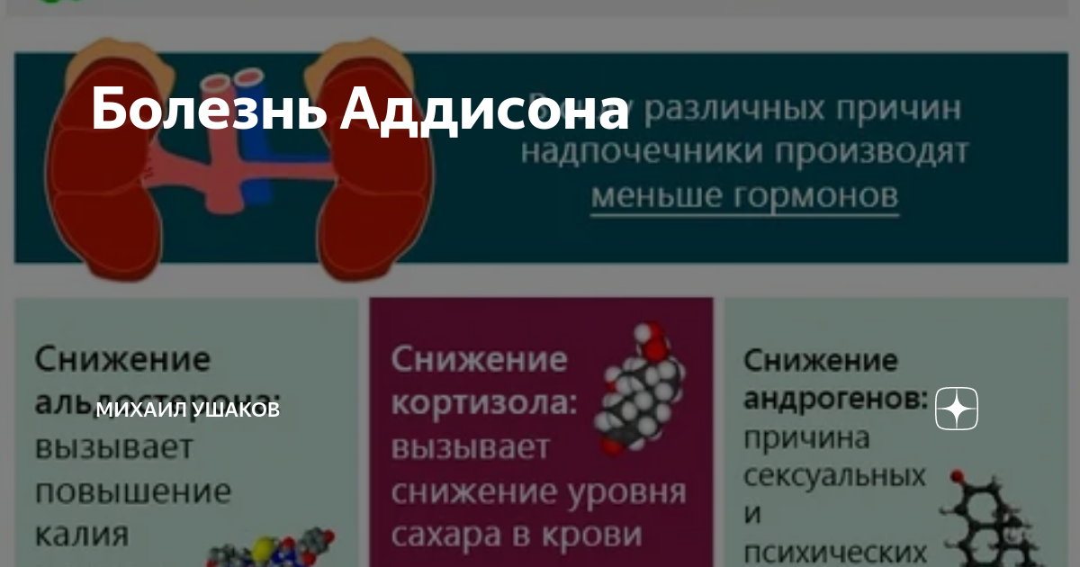 Болезнь Аддисона (гипоадренокортицизм) у собак - причины, симптомы, диагностика, лечение