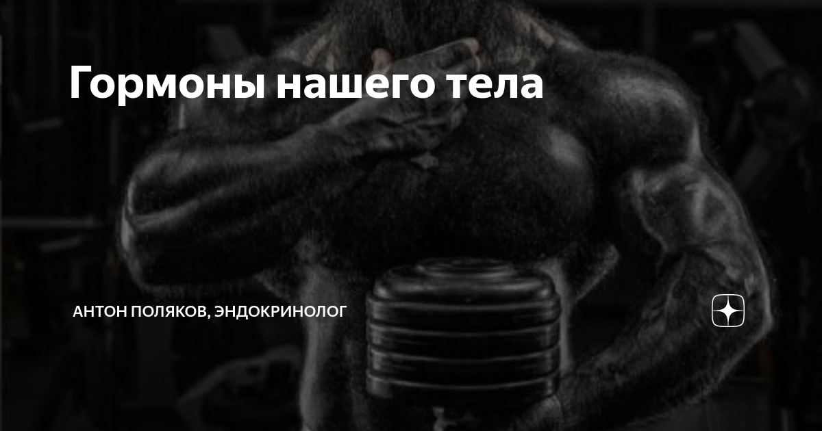 Гормоны нашего тела | Доктор Поляков | Дзен